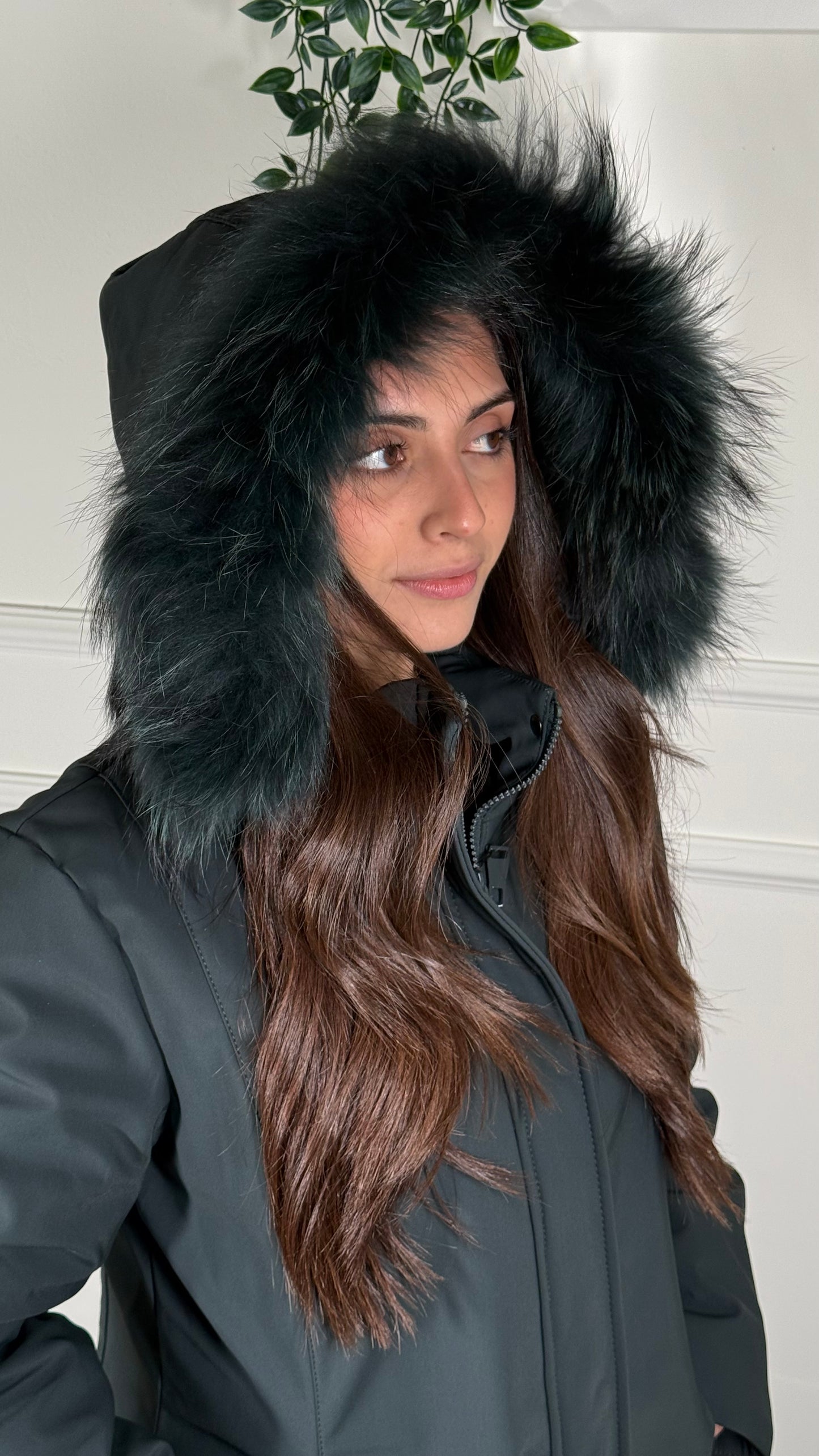 A.R. Piumino Petrolio