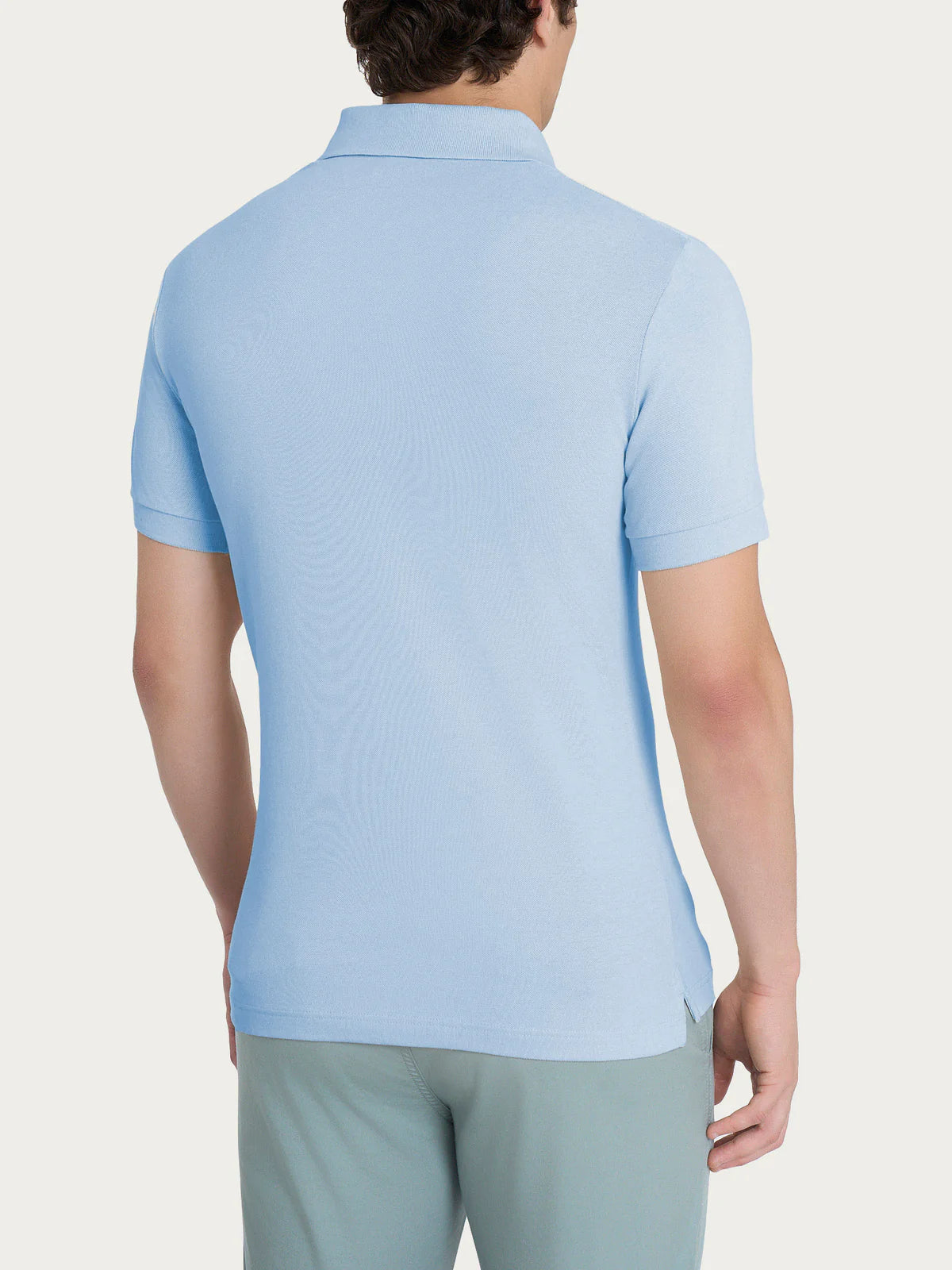 RAGNO Polo Celeste